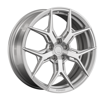 LS FG14 (кованый)